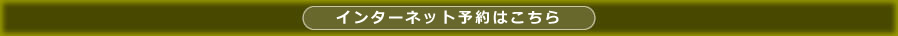 �C���^�[�l�b�g�\��